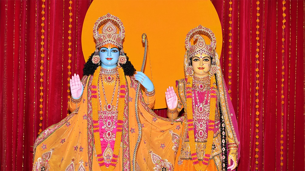 P2119_VBN_1876X copy (1)