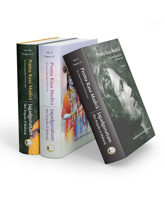 P2096E prm-eng.jpg copy